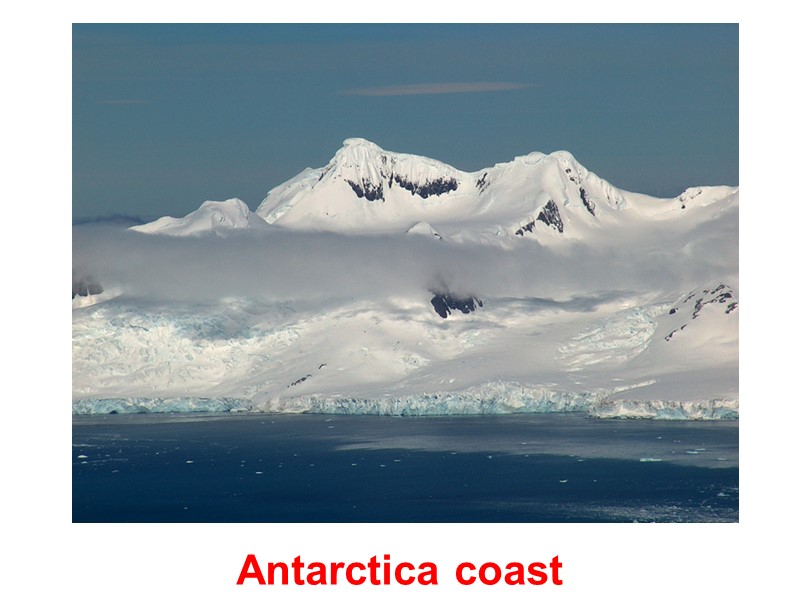 Antarctica coast